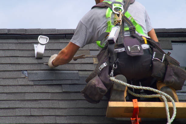 Best Roof Gutter Cleaning  in Madison, WV