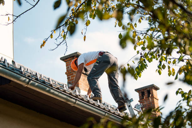 Best Roof Restoration Services  in Madison, WV