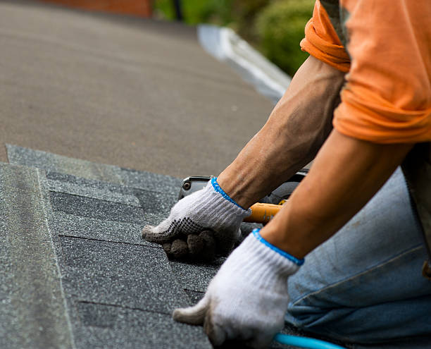 Best Gutter Installation and Roofing  in Madison, WV